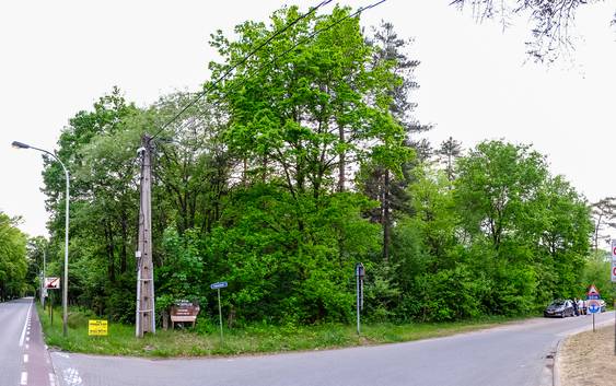 Na alle ophef: minister-president Bourgeois gooit boskaart in de vuilnisbak