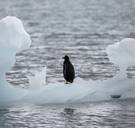 Heel erg van Antarctica, maar ik heb recht op mijn vliegreis naar Bali