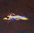 Synchrodogs : naakte lichamen in godvergeten landschappen