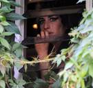 Het geheim van het populairste filmsubgenre van het moment: de muziekdocumentaire