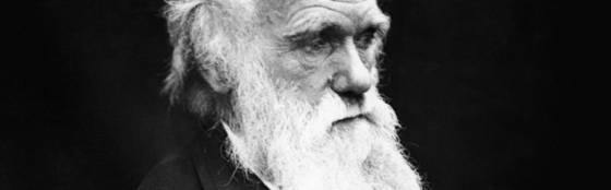 Van moslims tot feministen: waarom Darwin velen zo bang maakt