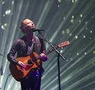 Schuinsmarcheerder of schreeuwlelijk poesje? Dit zijn de concerttips van De Morgen