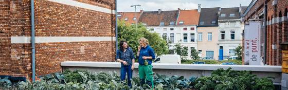 ´´Voordelen stadslandbouw zijn groter dan risico's´´
