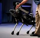 Hij blaft én bijt niet: toch is robot SpotMini straks te koop als waakhond