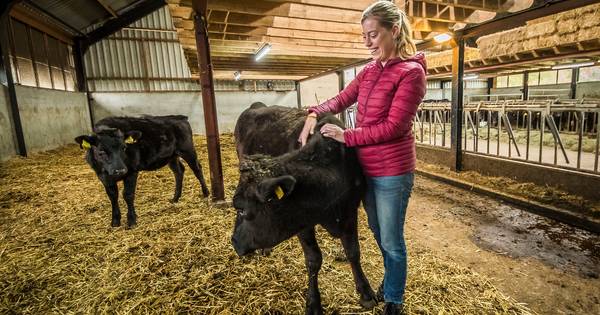 Mirre hopt heel Hof van Twente door