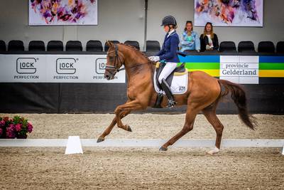 NK Dressuur 2018: 'mixed feelings' om Glock en de Provincie Gelderland