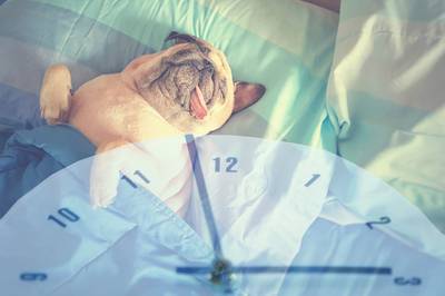 Zes tips voor een super soepele overgang naar zomertijd