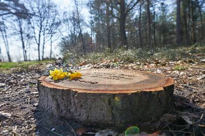 Groen licht voor natuurbegraafplaats op Landgoed Mookerheide