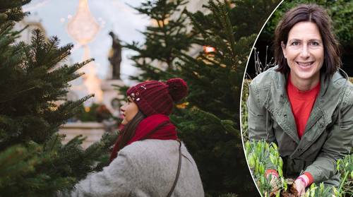 Een echte kerstboom kopen?