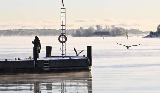 Finland stapt met oog op ‘Russische agressie’ uit verdrag dat antipersoonsmijnen verbiedt