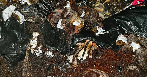 Busje met hennepresten uitgebrand in Luyksgestel
