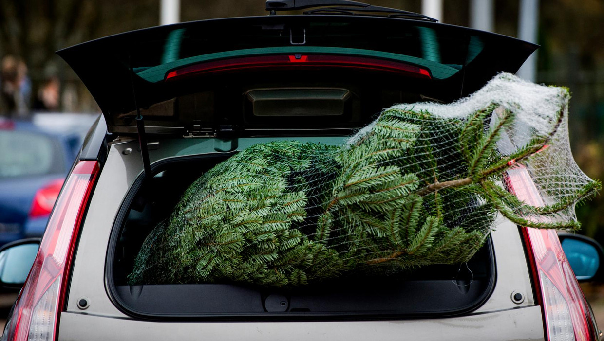Kerstboom Bezorgen Belgie Kerstbomen Online Bestellen