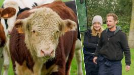 Ruth en Mathias staan oog in oog met stier