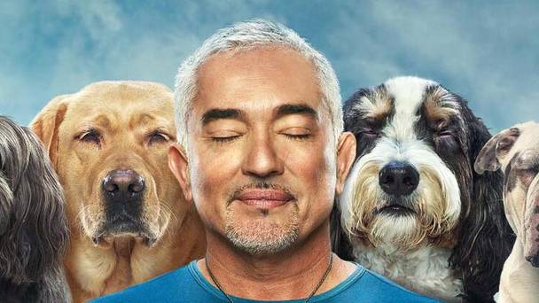 Cesar Millan: Better Human Better Dog