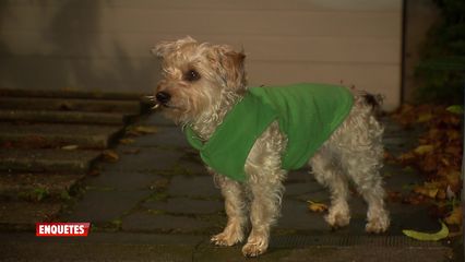 2. La police veille pour éviter les drames