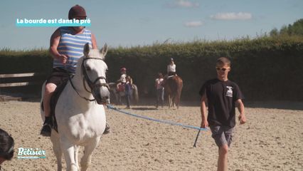 1. Spécial animaux