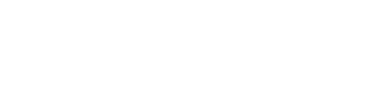 Professionnels de la mort