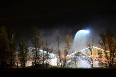 Twintig varkens omgekomen bij een grote brand in stallen bij Poortvliet