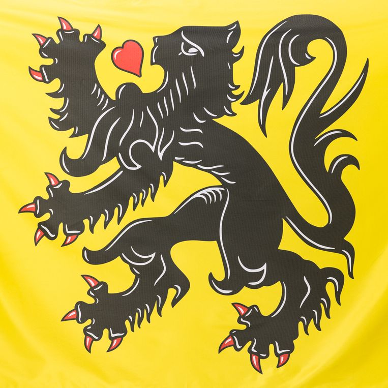 De nieuwe Vlaamse vlag van Noortje Palmers en Jasper Declercq heeft een hart in plaats van een tong.