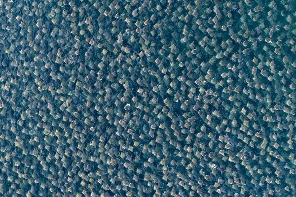 Planet Earth