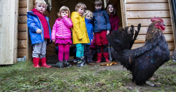 Kinderopvang regelen ze in Haarlo liever zelf