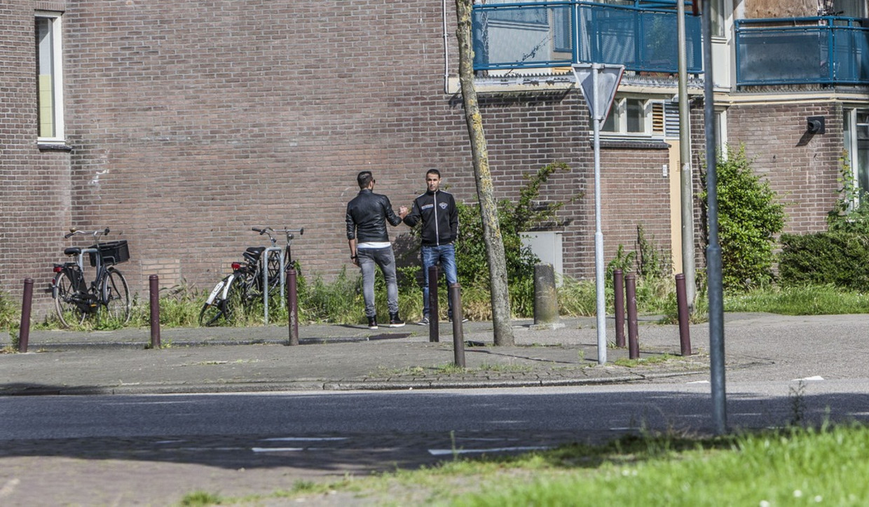 Get Wallpaper Niemand Durft Iets Te Zeggen Van De Grote Overlast In Banne For Free