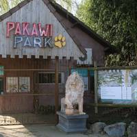 Stokstaartjes, roestplekken en stress: een wandeling door het betwiste Pakawi Park