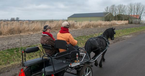 Verdubbeling glastuinbouw bloemkwekerij Noordgouwe