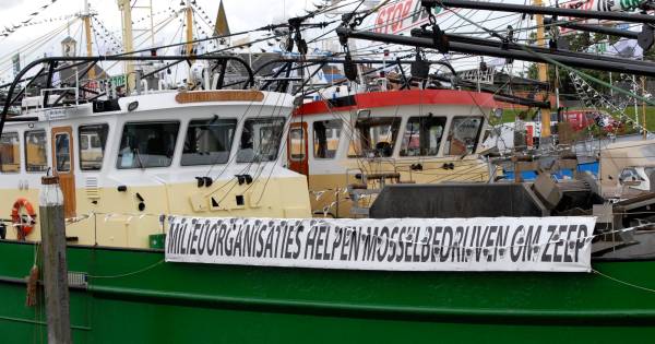 Zeeuwse mosselvissers beducht op nieuwe ‘Groene Leugen’