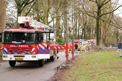 Hoogwerker gaat kapot bij vellen van boom in Rhenen