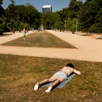 Wat doen Antwerpen, Gent en Brussel al tegen de hitte? En wat zouden ze eigenlijk moeten doen? ‘Voor mij is het toch vooral een grijze vlakte’