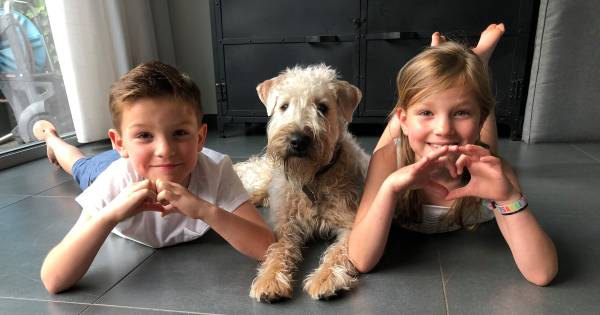 Poepje, Erwtje, Fluf of Bami: het is volkomen normaal om je huisdier een bijnaam te geven - BD.nl