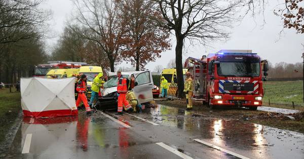 Twee personen zwaargewond bij botsing tegen boom in Lage Mierde - Eindhovens Dagblad
