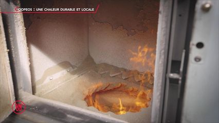 18. Les Grottes de Han