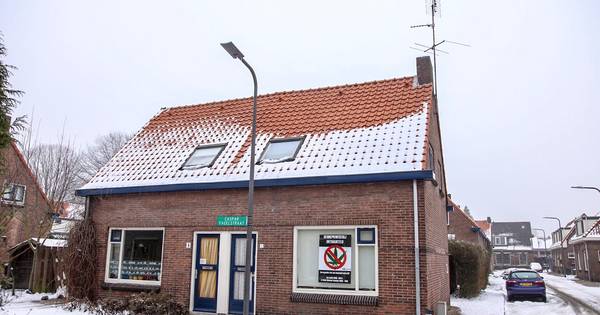 Hennepkwekerij met 103 planten ontmanteld in Velp