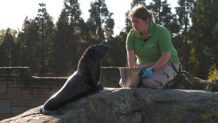 Aflevering 3