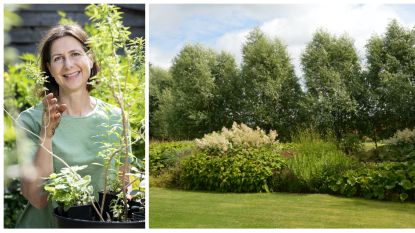 Een Blotevoetenpad In Je Tuin Laurence Machiels Legt Uit Hoe Je Er Zelf Eentje Maakt Vrije Tijd Nina Hln
