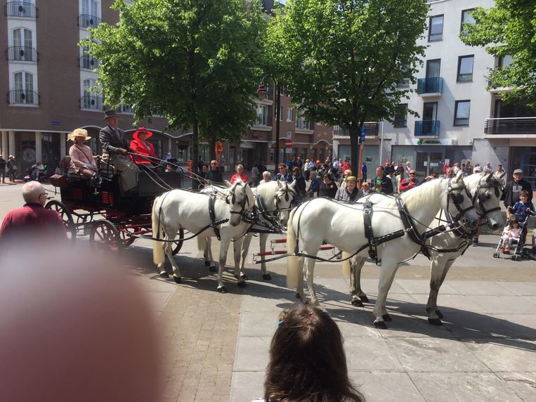 Wandelzoektocht blankenberge 2019