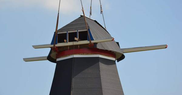Bouwers zijn er bijna: molen De Zwaan in Vinkel krijgt zijn pet op - BD.nl