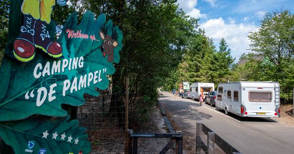 Coronazomer pakt goed uit voor campings en vakantieparken: 'Dit hadden we niet verwacht' - De Stento