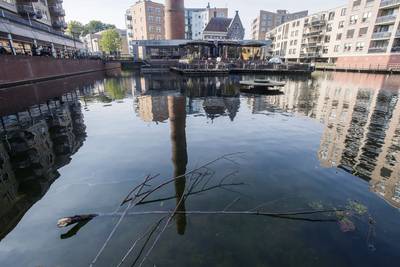 Man gooit kind (7) in het water en volgt zelf al worstelend met vader; moeder redt zoontje