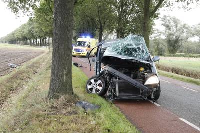 Automobilist onder invloed botst tegen boom bij Wanroij