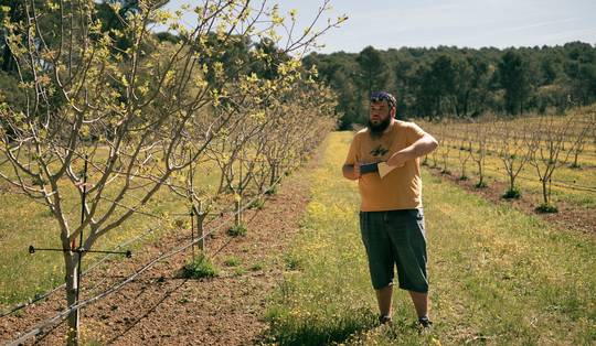 Gedwongen door de opwarming verruilen Franse boeren hun wijnranken en lavendelvelden voor het ‘groene goud’
