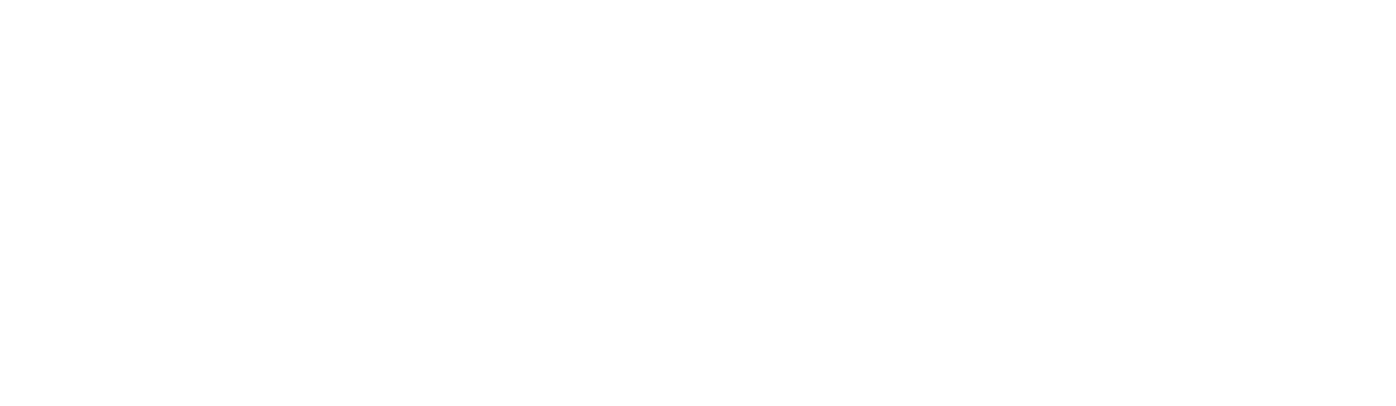 Christmas by Starlight