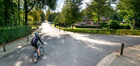 Rekening Beschoten Kat Kees Is Betaald Arnhem Ad Nl