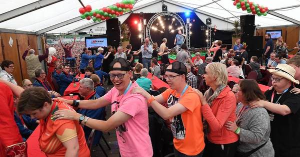 Gelukzalig genieten op Muziekevent in Landhorst | St. Anthonis - De Gelderlander