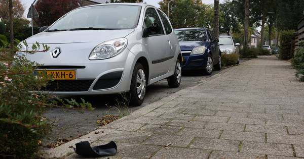 Politie Zwolle zoekt drietal na ‘spoor van vernielingen' .