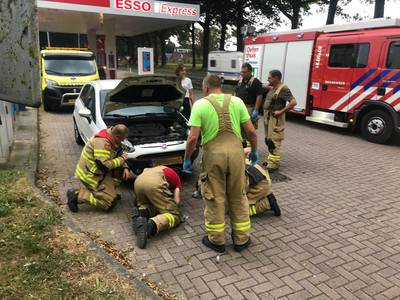 Duif zit klemvast in grill van auto na aanrijding: brandweer redt gewonde vogel