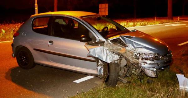 Tilburger knalt met auto tegen boom in Biezenmortel - BD.nl