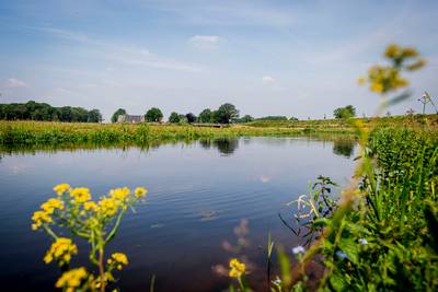 Eindelijk weer met een natuurgids wandelen bij Bornerbroek